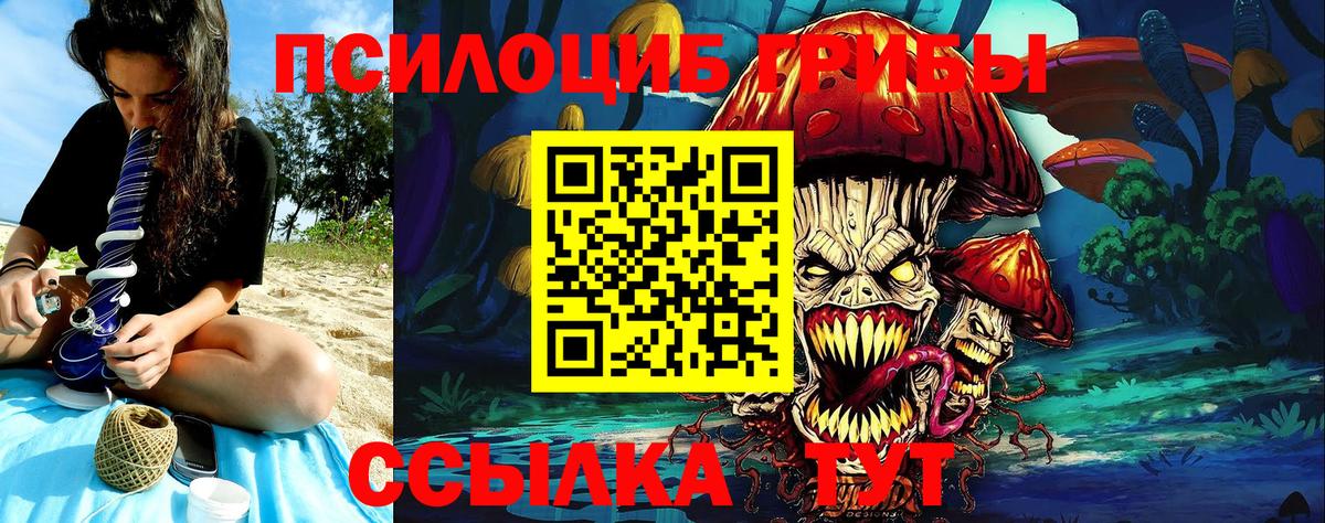 Псилоцибиновые грибы Psilocybine cubensis Снежинск