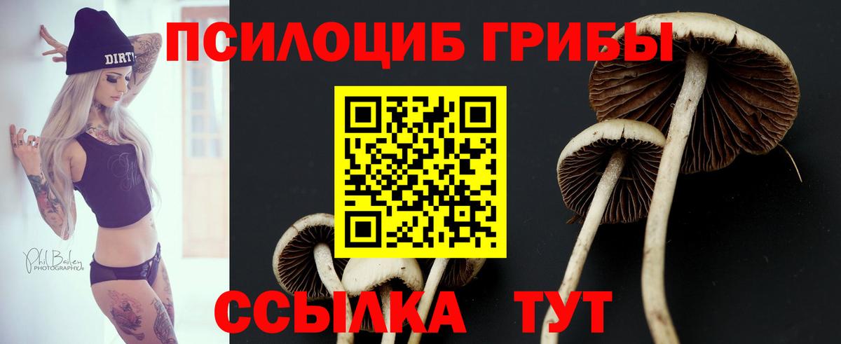Псилоцибиновые грибы прущие грибы  Вход с VPN  Снежинск 